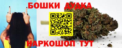прущие грибы Конаково