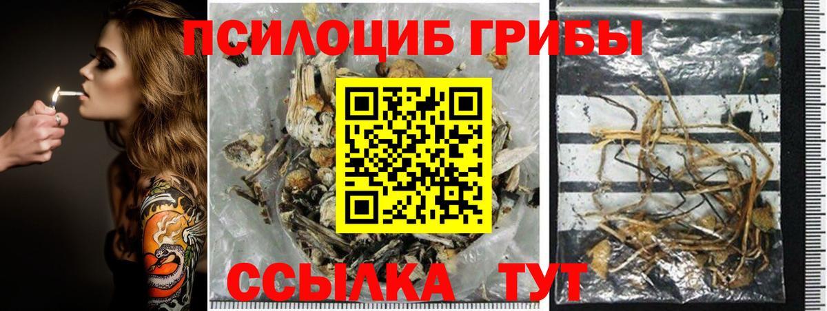 Галлюциногенные грибы MAGIC MUSHROOMS  Вход с VPN  Красногорск 