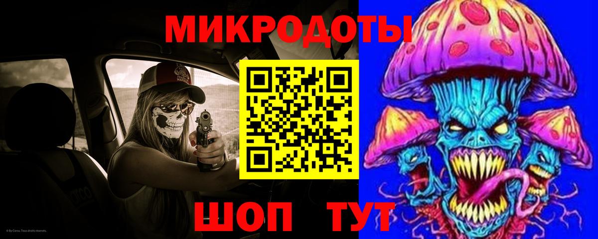Галлюциногенные грибы Psilocybine cubensis Красногорск